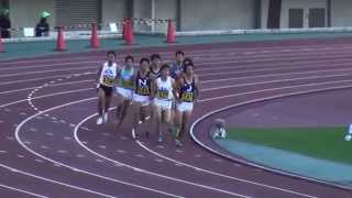 2015日本ｲﾝｶﾚ男子800m準決勝2組 田中智則1.54.92 Tomonori TANAKA1st 三武潤 櫻井大介