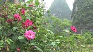 Yangshuo - A faraway beautiful place