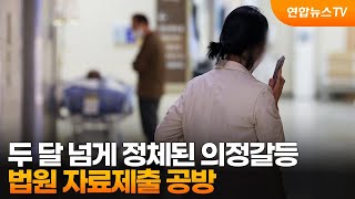 두 달 넘게 정체된 의정갈등…법원 자료제출 공방 / 연합뉴스TV (YonhapnewsTV)