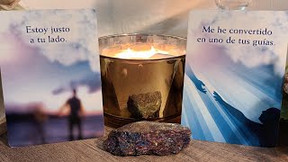 TU PAPÁ TE ENVÍA DESDE EL CIELO MENSAJES URGENTES 🕊💌🤍✨️ #tarot #horoscope #amor