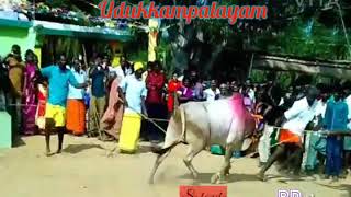 Udukkampalayam thevarattam salageruthu