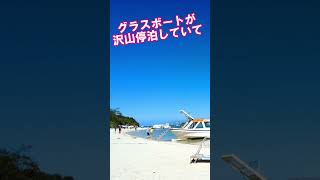 【石垣島旅行】ハズせない観光スポット川平湾　＃ショート