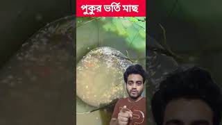 পুকুর ভর্তি মাছ #shorts #shortsfeed #shortsvideo #viralvideo #trendingvideo #foryou #fishing