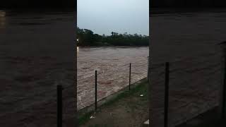 People risking life |dangerously close to flooded river|sutlej Punjab india