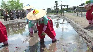 淡海をあるく　お田植大祭　東近江市