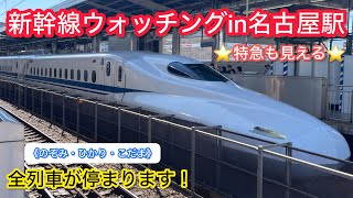 【全部停まる】在来線も見える東海道新幹線の名古屋駅で新幹線ウォッチングしてみた！！