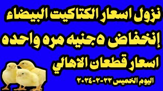 اسعار الكتاكيت البيضاء اليوم سعر الكتاكيت البيضاء اليوم الخميس ٢٢-٢-٢٠٢٤ في الشركات في مصر