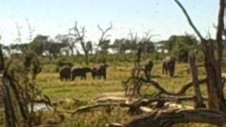 Botswana Horse Safari