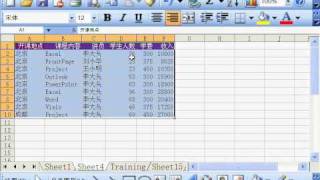 郭安定：Excel 2003 实用基础 02-05 设定自动套用格式