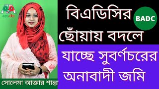 বিএডিসির ছোঁয়ায় বদলে যাচ্ছে সুবর্ণচরের অনাবাদী জমি | BADC #Agroaid News