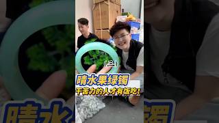 （3）小陆搬砖有一手！今天能给姐姐找到心仪的手镯吗？如果你也喜欢的话，关注小陆评论吧！#翡翠#翡翠手镯#缅甸翡翠#天然翡翠#翡翠玉石#翡翠a玉 #翡翠a貨 #翡翠手鐲