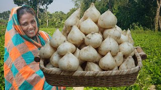 Jicama Fruits Cultivation - Keshor Alu Recipe - Cold Potato And Shrimp Curry AWESOME VILLAGE COOKING