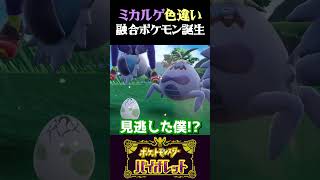 【融合】色違いミカルゲ孵化厳選したら融合キメラポケモンが誕生したww【ポケモンSV】【スカーレット・バイオレット】【うさごん】