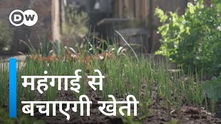 शहर में भी अपना खेत, अपना खाना और अपनी बचत [How home gardens save money]