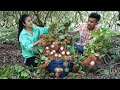 ''Rambutan fruit'' Harvest Rambutan fruit and cooking - Countryside Life TV