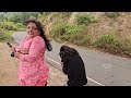 മേഘമലയിലേക്ക് part 02 misty roads and vineyards a scenic road trip to meghamalai