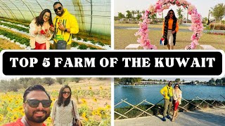 Discover The Best Winter Farms In Kuwait: Top 5 Picks!