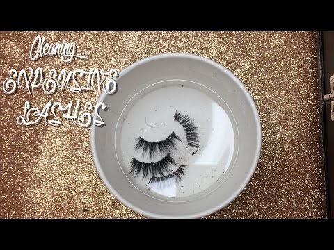 HOW TO CLEAN EXPENSIVE LASHES FT. LILLY LASHES IN MIAMI HOW TO CLEAN EXPENSIVE LASHES FT. LILLY LASHES IN MIAMI