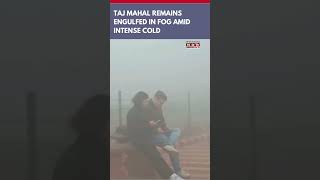 Watch: Taj Mahal Disappears In Blanket Of Thick Fog In Agra; Tourists Disappointed | #shorts