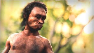 Homo Naledi - Ancient Human