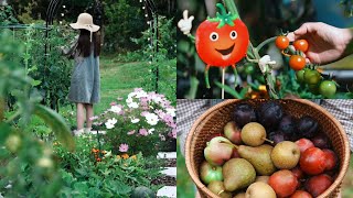 Slow Living in New Zealand: Garden Vlog 🌿 Daily Harvesting Veggies, Fruits \u0026 Flowers!