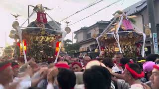 茅ヶ崎海岸・浜降祭（はまおりさい）　午前４時半過ぎ　朝日が昇る南湖地区を次々に神輿が渡御！（2024年7月15日）