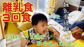 【生後９ヶ月】離乳食３回食😄朝昼晩の３回食に