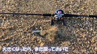 淡路釣行#2/3 サーフでダイソーVJを投げてみた。