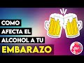 Tomé alcohol sin saber que estoy EMBARAZADA - ¿Peligro?