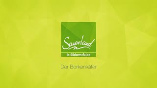 Unser Wald -  Der Borkenkäfer