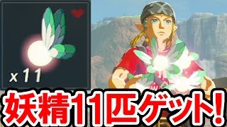 【ゼルダの伝説 BotW】妖精を11匹ゲットする裏技！エキスパンション・パスの購入特典「アレのシャツ」の入手法も公開 ゼルダの伝説 ブレス オブ ザ ワイルドの実況プレイ攻略動画