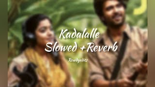 kadalalle slowed + reverb ✨💃 vijay deverkonda and rashmika mandanna movie song 🤗 dear comrade song 💃
