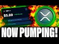 XRP PRICE IS PUMPING RIGHT NOW | WHAT'S HAPPENING?!