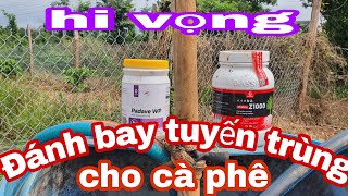 loại thuốc thần thánh này có thực sự tiêu diệt ,Bệnh tuyến trùng đang phát triển không