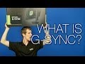 What is NVIDIA G-Sync? Explained - Tech Tips