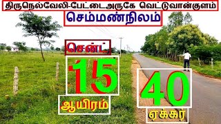 திருநெல்வேலி-பேட்டைஅருகே வெட்டுவான்குளம் 40 ஏக்கர் செம்மண்நிலம்.சென்ட் 15 ஆயிரம்-1413-023.12.21 #JJJ