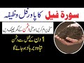 Surah Feel Ka Wazifa Dushman Se Nijat Ke Lye | خواص و فضائل  سورہ الفیل | Al Lolo Ul Maknoon