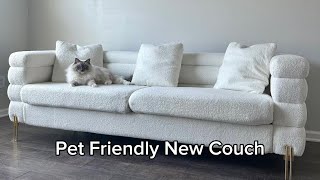 Amazon Couch Review | Pet Friendly