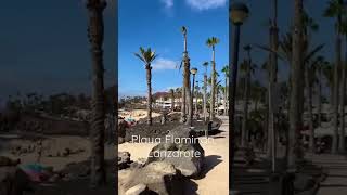 Playa Flamingo beach at Playa Blanca, Lanzarote #shorts