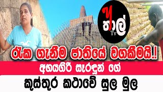 අභයගිරියට මොකද වුනේ.? | Abhayagiriya | Anuradapure | sri lanka | y thal tv