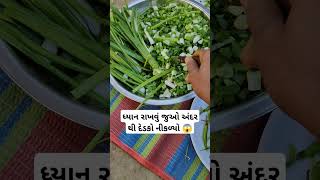 ધ્યાન રાખવું જુઓ અંદર થી દેડકો નીકળ્યો 😱#trending #viral #Reels #funny