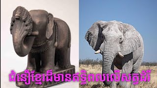 ជំនឿខ្មែរដ៏មានឥទ្ធិពលលើសត្វដំរី/ Influential Khmer beliefs on elephants