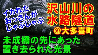 【川廻し】未成橋の先に置き去られた光景があった～沢山川の水路隧道③ [字幕あり]