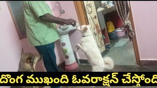 || దొంగ ముఖంది ఓవరాక్షన్ చేస్తోంది ||మనం ఉన్నప్పుడు ఒకలా ఉంటుంది ఆయన వచ్చినప్పుడు ఒకలా ఉంటుంది||