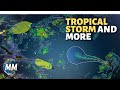 T.S Gordon Forming | Tropical Disturbance Near Lesser Antilles | Caribbean and Bahamas Forecast