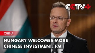 Hungary Welcomes More Chinese Investment: FM