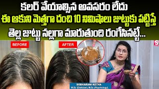 10 నిమిషాల్లో తెల్లజుట్టు పూర్తిగా నల్లబడుతుంది | White Hair to Black Hair Naturally | Hair Growth