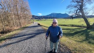 Spaziergang im Untermaiselstein um Fledermaussee mit herrlicher Aussicht auf Grünten /Falkenstein