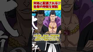 【就活生必見】護廷十三隊の各隊の特色を徹底解説！！　#shorts #bleach #ゆっくり解説