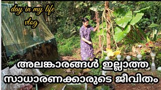 ചമയങ്ങൾ ഇല്ലാത്ത ഒരുവീട്ടമ്മ /Day in my life /Village lifestyle /Pumpkin recipies /Idiyappam/Vlog:11